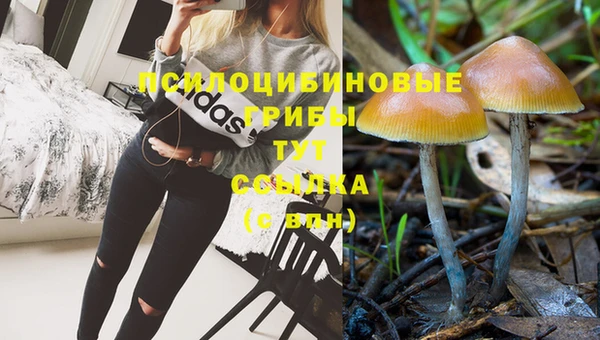 МДПВ Алзамай