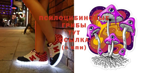 МДПВ Алзамай
