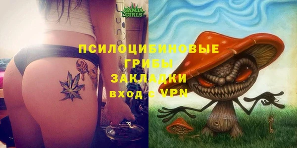 ECSTASY Алексеевка