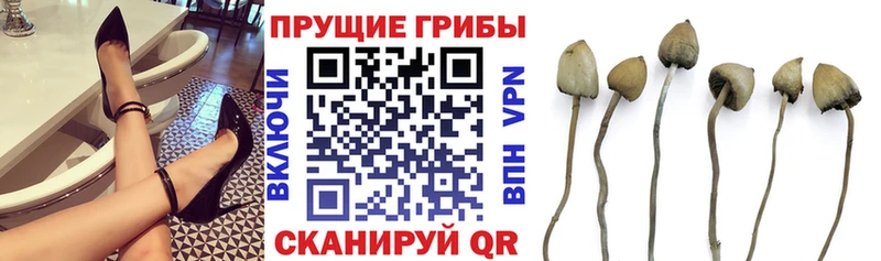 Псилоцибиновые грибы мухоморы  продажа наркотиков  Белебей 